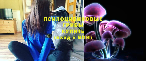 хмурый Вязники